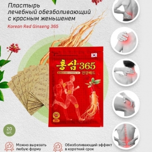        Korean Red Ginseng 365 20